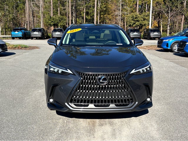 2025 Lexus NX NX 350h Luxury