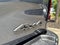2026 RAM Ram 2500 RAM 2500 WARLOCK CREW CAB 4X4 6'4' BOX